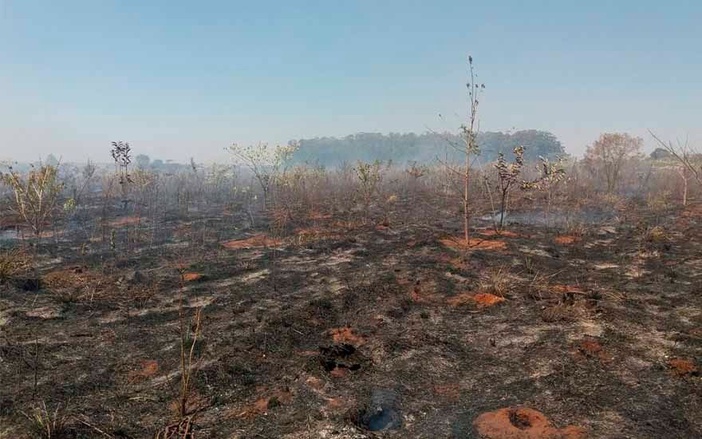 Incêndio consome 34 hectares de mata na Floresta Estadual de Batatais