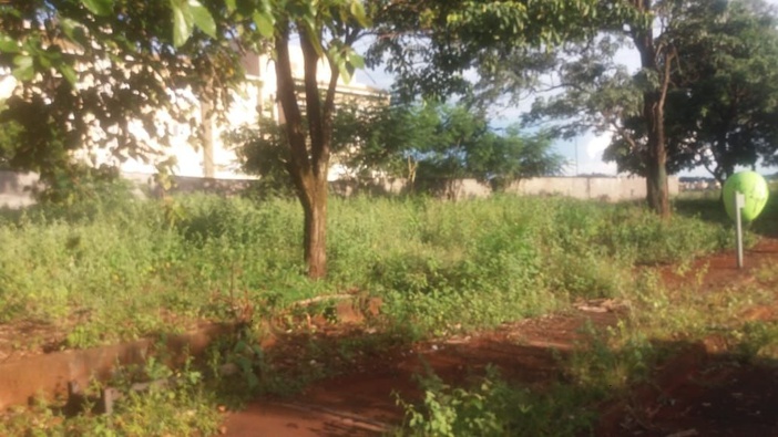 Patrulha Revide: moradores reclamam de terreno sujo no bairro São José