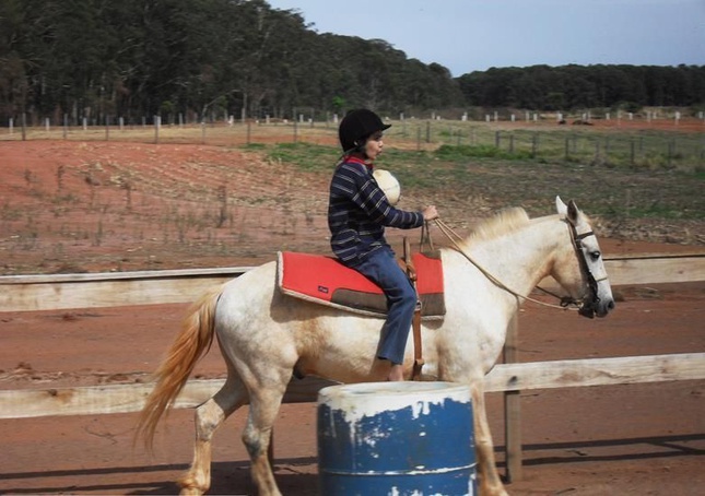 Após denúncias da população, cavalos da Apae de Batatais são reencontrados