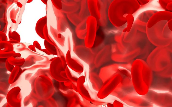Banco de Sangue de Ribeirão Preto lança campanha de inverno