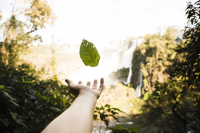 Semana do Meio Ambiente tem início nesta segunda-feira, dia 3 de junho