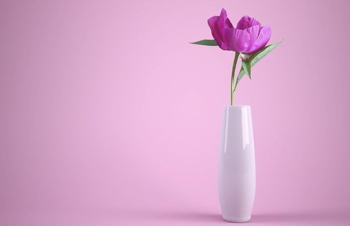 A rosa é a flor do poeta!