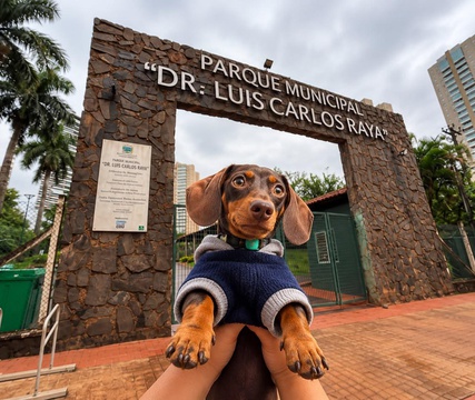 Parque Raya terá encontro de salsichas