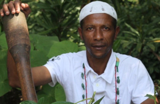 Sesc promove oficina sobre plantas medicinais