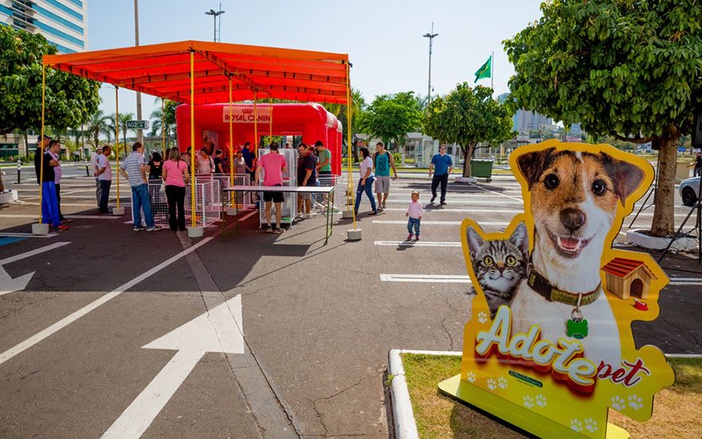 Mais de 30 filhotes de cães e gatos buscam novo lar em feira do RibeirãoShopping