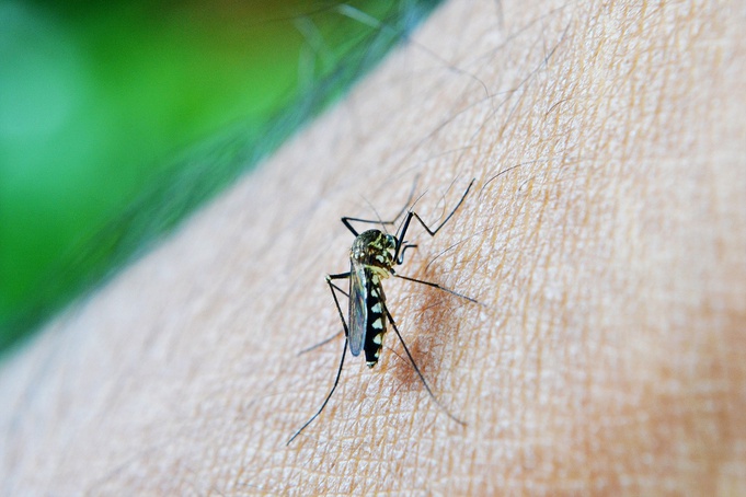 Combate à dengue: Governo de SP intensifica ações e alerta sobre descarte irregular de lixo