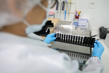 Malária: Anvisa autoriza teste em humanos de vacina 100% brasileira