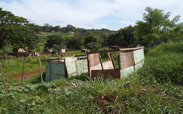 Parque Rubem Cione tem poucos invasores