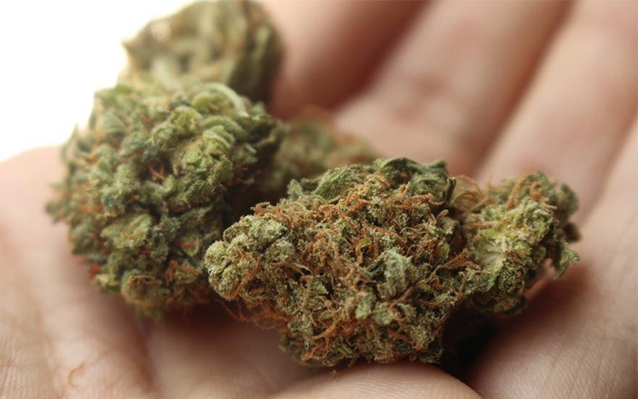 Auxiliar de enfermagem é preso com 80 tijolos de maconha em casa