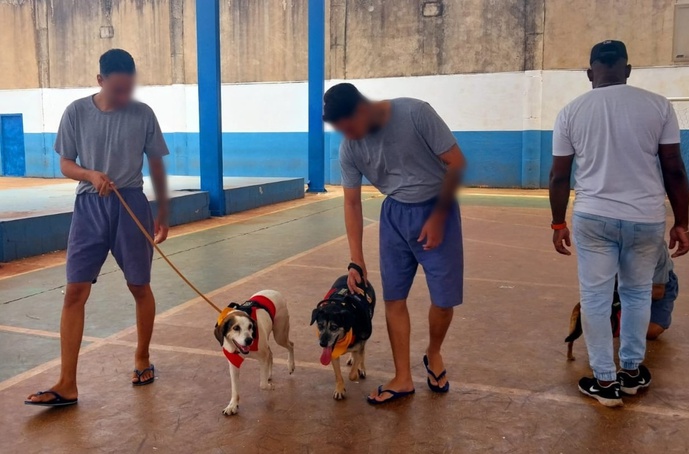 Jovens da Fundação CASA de Ribeirão Preto participam de terapia assistida por animais