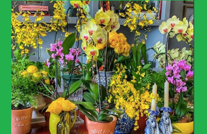 Cores e flores