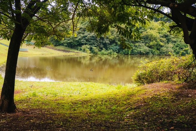 Parque Olhos d'Água reabre neste domingo, 30, após quatro anos