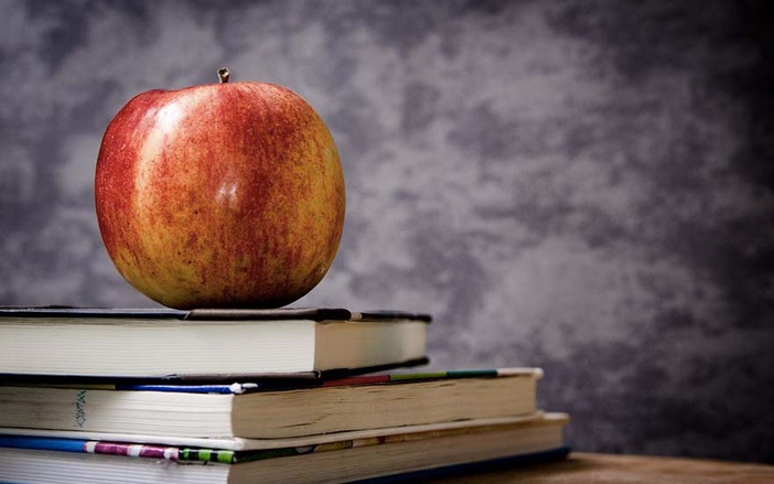 Censo da Educação: sobram vagas no ensino superior público e privado