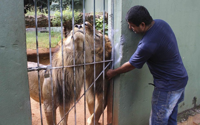 Por dia, animais consomem mais de 500 quilos de alimento no Bosque de Ribeirão Preto