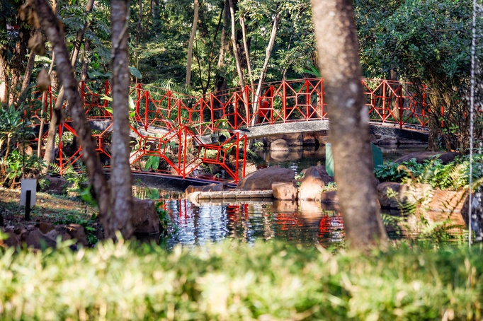 Revitalização do Jardim Japonês é concluída e espaço será reaberto ao público nesta quarta-feira, 19