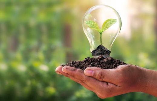 Ribeirão Preto recebe 3º Fórum de Educação Ambiental
