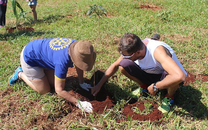 Em média, 55 mudas de árvores são distribuídas por dia em Ribeirão Preto