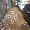 , Cidades