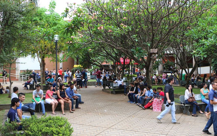 Cursos Livres renovam currículo e reposicionam profissionais no mercado