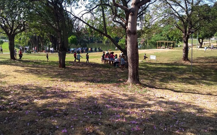 8 opções de passeios de até R$ 20 para as férias em Ribeirão Preto