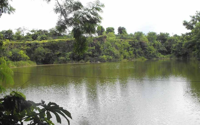 Ribeirão Preto despenca em ranking Ambiental do Programa do Município VerdeAzul