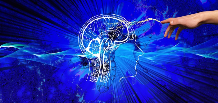USP oferece curso on-line e gratuito sobre neurociências para professores da educação básica