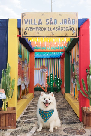 Concurso de figurino junino para pets marca fim de semana na Villa São João no RibeirãoShopping