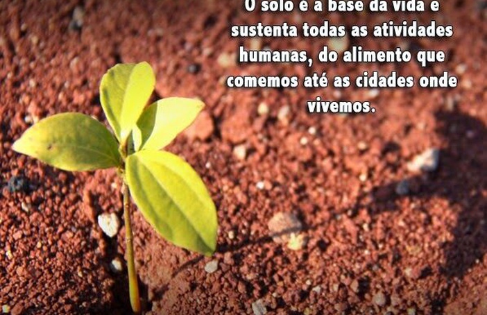 Ambiente mais diverso do mundo – o solo