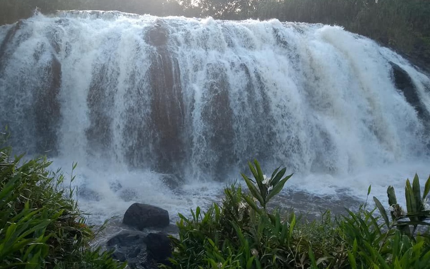 O Que Fazer em Ribeirão Preto: Guia Completo de Atrações