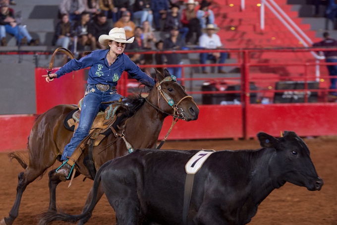 Festa do Peão de Barretos: abertas as inscrições para prova de Ranch Sorting