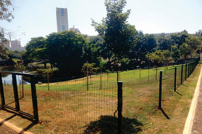 Parque das Artes é o primeiro local a ter espaço exclusivo para pets