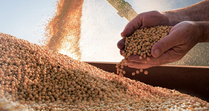 Produção de grãos no Brasil tem queda de 8% em relação ao ciclo anterior
