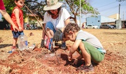Ribeirão Preto terá plantio de mil mudas