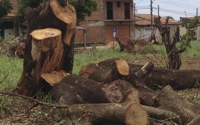 Remoção de 40 árvores revolta moradores do Jd. Juliana