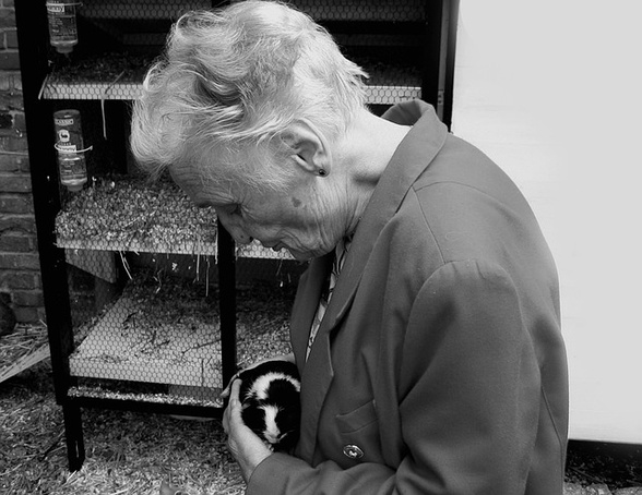 Alzheimer: brasileiros criam ferramenta que ajuda no tratamento