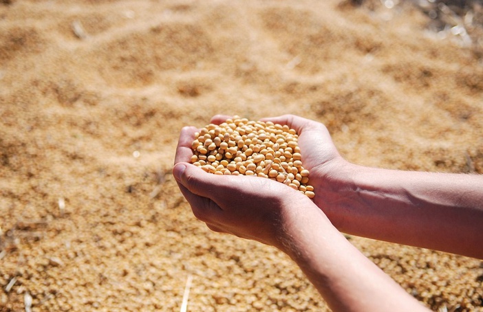 O ESG e seus impactos no agronegócio